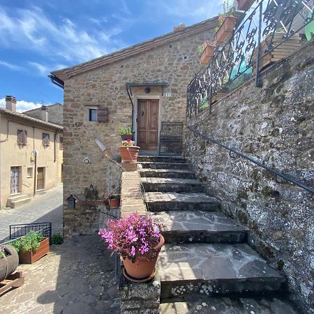 Panoramic Nest In Montalcino Villa Ngoại thất bức ảnh