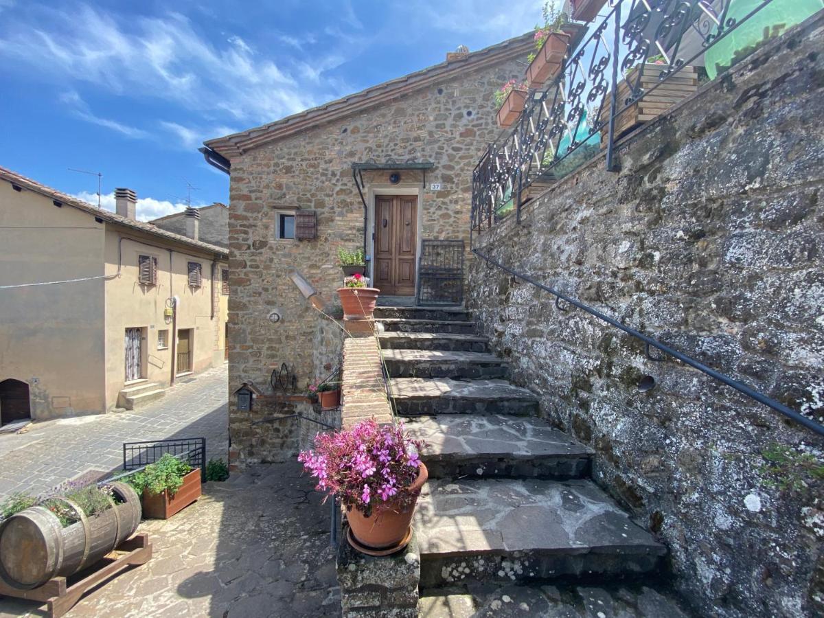 Panoramic Nest In Montalcino Villa Ngoại thất bức ảnh