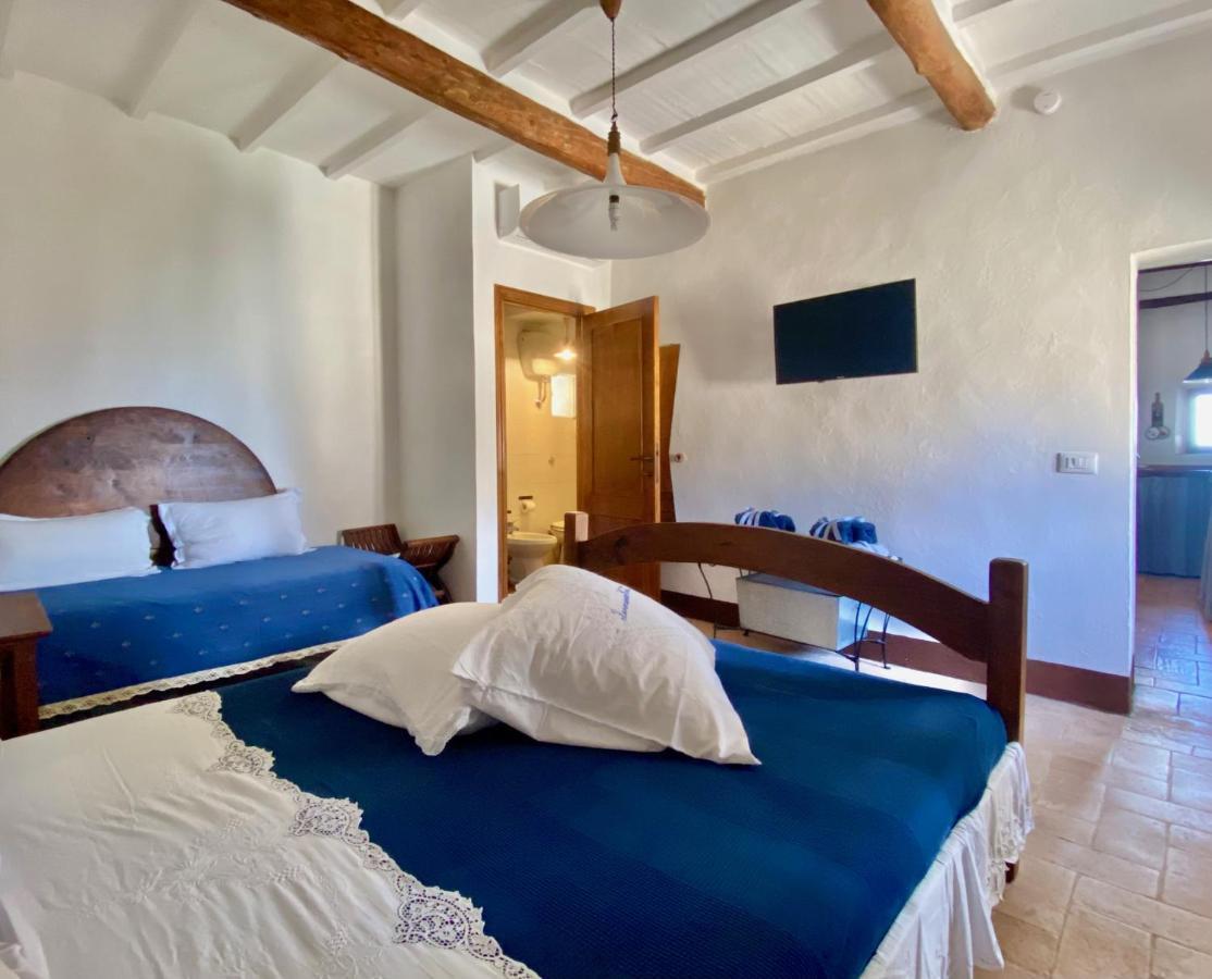 Panoramic Nest In Montalcino Villa Ngoại thất bức ảnh